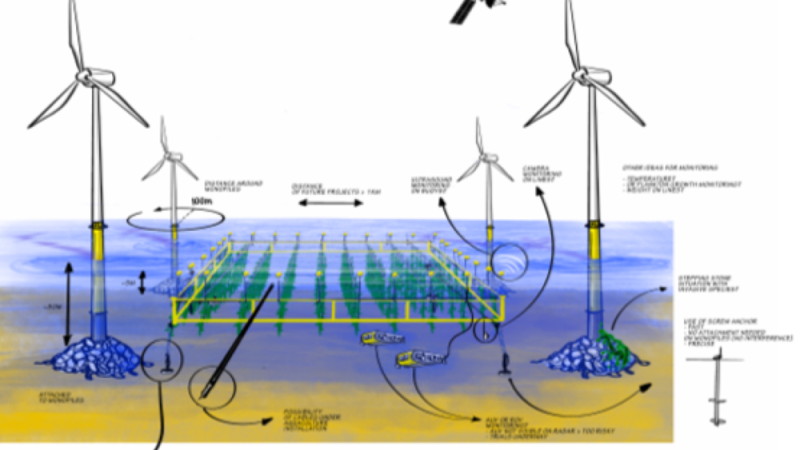 MARCOS – Mariculture as Resilient Coastal and Offshore Structure defence