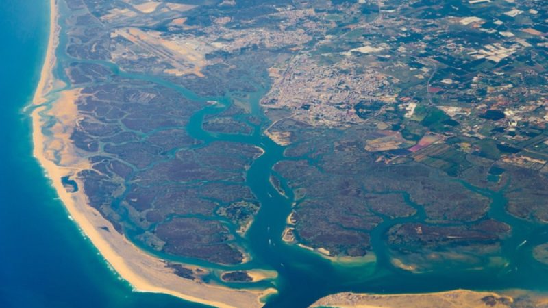 Monitoring Plan for the Evolution of the estuarine bottoms, ecology and cultural patrimony in estuary of Mira river and adjacent beaches & Ecology and geomorphology of the Ria Formosa Lagoon system