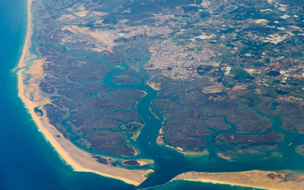 Read more about the article Monitoring Plan for the Evolution of the estuarine bottoms, ecology and cultural patrimony in estuary of Mira river and adjacent beaches & Ecology and geomorphology of the Ria Formosa Lagoon system