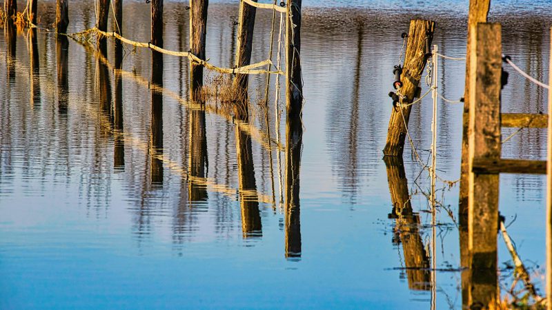 Weerbare Westhoek / Resilient Westhoek