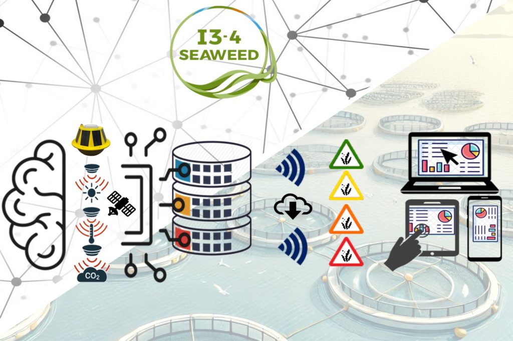 Read more about the article I3-4- Seaweed : Advancing Sustainable Aquaculture with Digital Twin Innovation