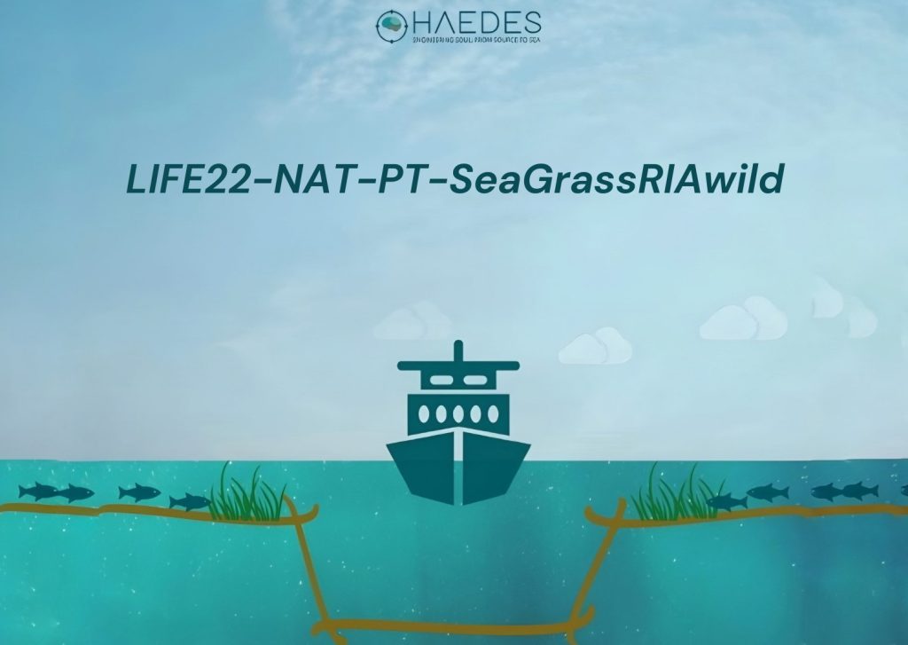 Read more about the article LIFE SeaGrassRIAwild 