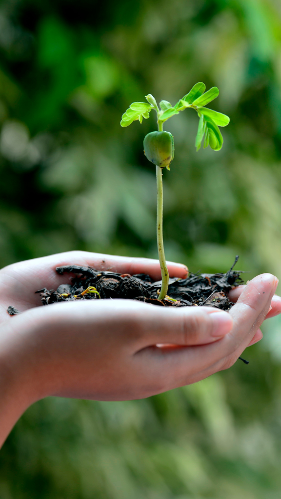 Read more about the article Ecoloog