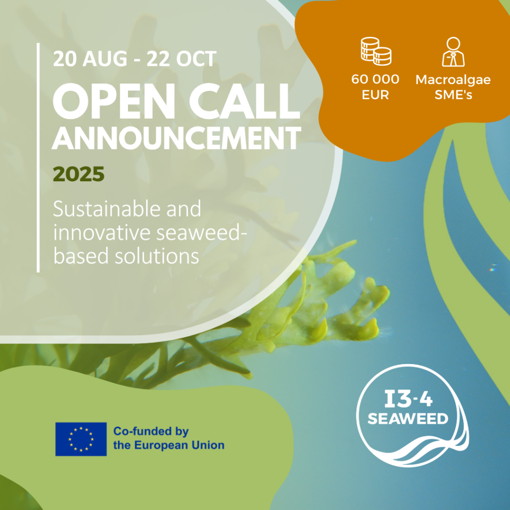 Read more about the article I3-4-SEAWEED LAUNCHES A EUR 1.8M OPEN CALL FOR MACROALGAE INNOVATION PROJECTS