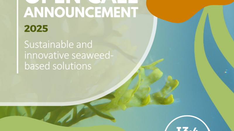 I3-4-SEAWEED LAUNCHES A EUR 1.8M OPEN CALL FOR MACROALGAE INNOVATION PROJECTS